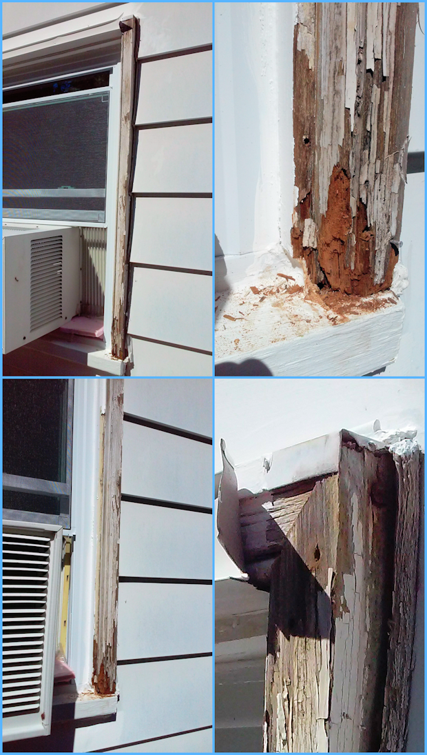 Click Here For More Details And Larger Images!